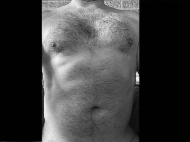 Profil de Cheik, 44 ans, Gay mec à Corcelles-près-Concise (Vaud)